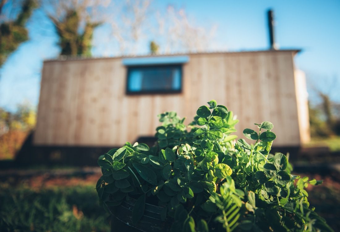 A shepherd's hut seen past a young vegetable patch, blue sky above.